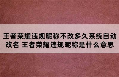 王者荣耀违规昵称不改多久系统自动改名 王者荣耀违规昵称是什么意思